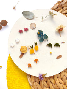 MINIS OTOÑO
